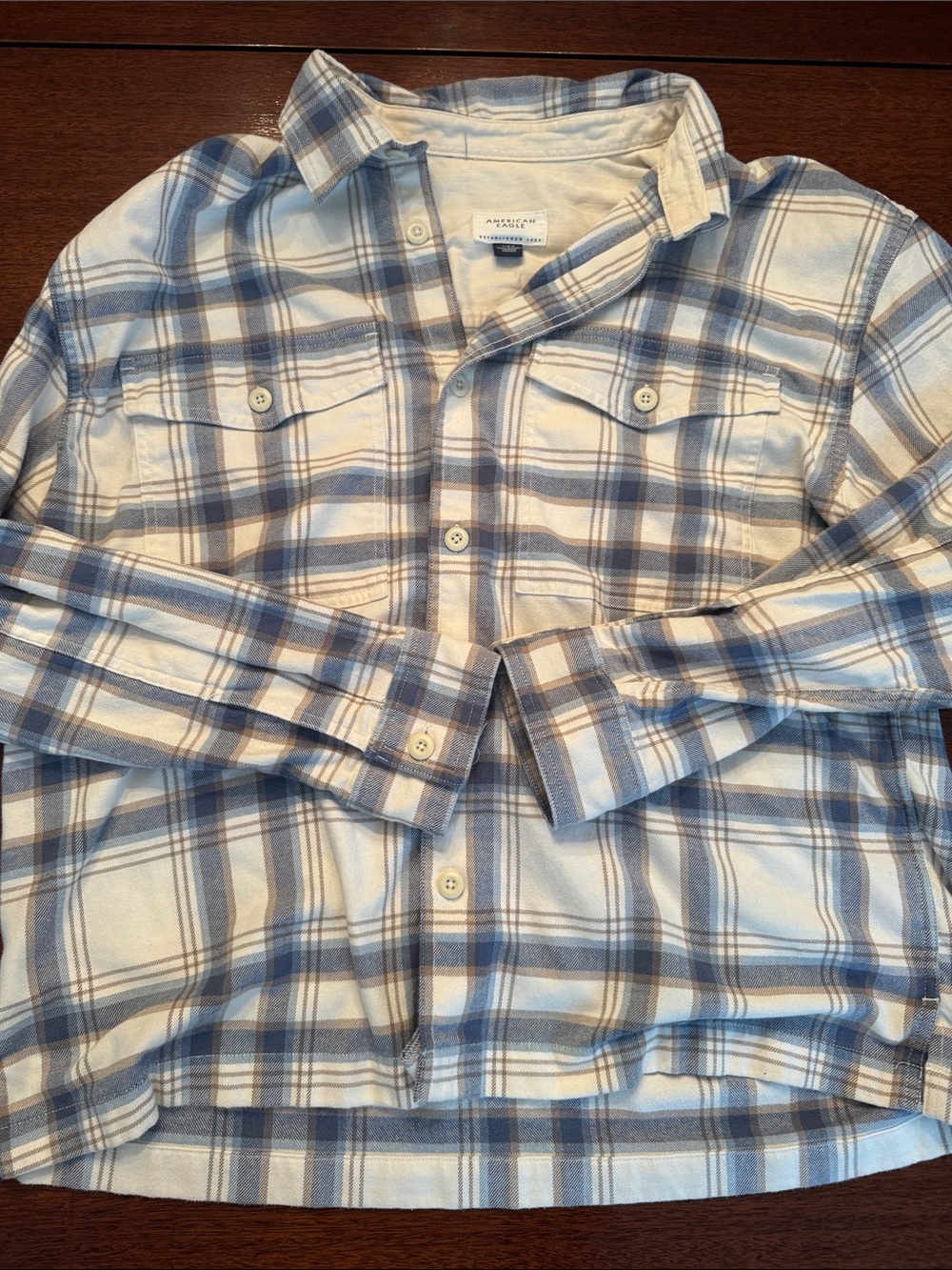American Eagle Outfitters Light Blue and White Plaid Button-Down Shirt